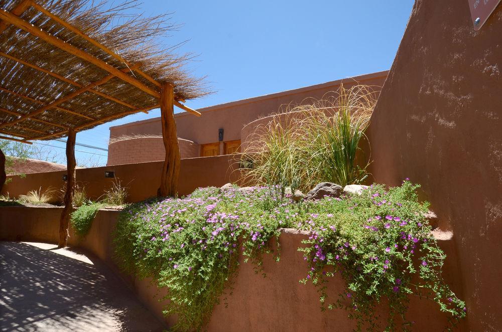 Hotel Pascual Andino San Pedro de Atacama Exteriör bild